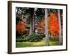 Garden of Sanzenin Temple-null-Framed Photographic Print