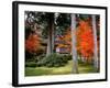 Garden of Sanzenin Temple-null-Framed Photographic Print