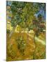 Garden of St. Paul's Hospital, 1889-Vincent van Gogh-Mounted Premium Giclee Print