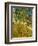 Garden of St. Paul's Hospital, 1889-Vincent van Gogh-Framed Giclee Print