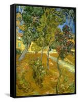 Garden of St. Paul's Hospital, 1889-Vincent van Gogh-Framed Stretched Canvas