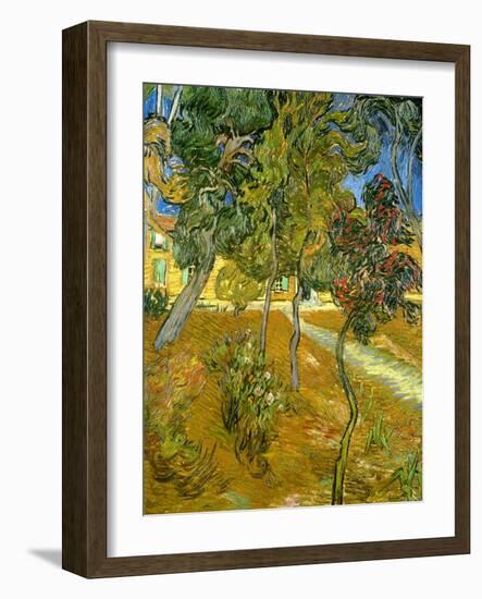 Garden of St. Paul's Hospital, 1889-Vincent van Gogh-Framed Giclee Print