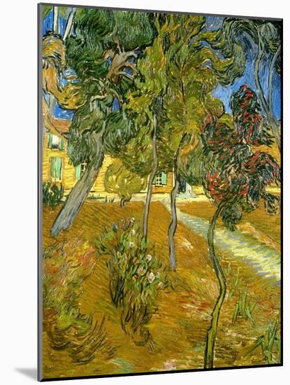 Garden of St. Paul's Hospital, 1889-Vincent van Gogh-Mounted Giclee Print