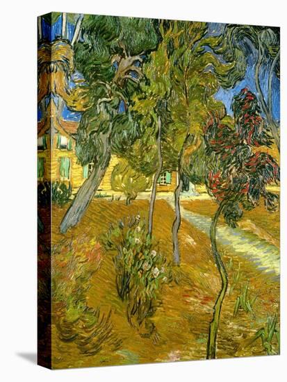 Garden of St. Paul's Hospital, 1889-Vincent van Gogh-Stretched Canvas