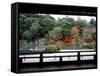 Garden of Tenryu-Ji Temple in Autumn, Kyoto, Japan-null-Framed Stretched Canvas