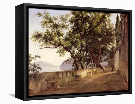 Garden of the Capuchin Friars, Near Sorrento, 1827-Carl Wilhelm Goetzloff-Framed Stretched Canvas