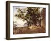 Garden of the Capuchin Friars, Near Sorrento, 1827-Carl Wilhelm Goetzloff-Framed Giclee Print