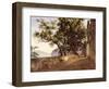 Garden of the Capuchin Friars, Near Sorrento, 1827-Carl Wilhelm Goetzloff-Framed Giclee Print