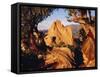 Garden of the Gods CO USA-null-Framed Stretched Canvas