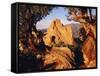 Garden of the Gods CO USA-null-Framed Stretched Canvas