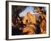 Garden of the Gods CO USA-null-Framed Photographic Print