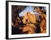 Garden of the Gods CO USA-null-Framed Photographic Print