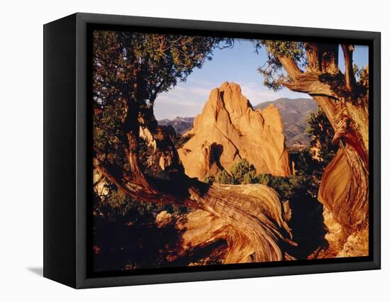 Garden of the Gods CO USA-null-Framed Stretched Canvas