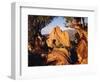 Garden of the Gods CO USA-null-Framed Photographic Print