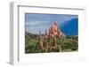 Garden of the Gods-rowephoto-Framed Premium Photographic Print