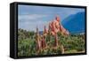 Garden of the Gods-rowephoto-Framed Stretched Canvas