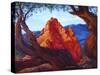 Garden of the Gods-Tanja Ware-Stretched Canvas