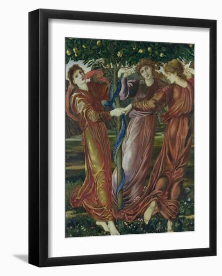 Garden of the Hesperides, 1869-73-Edward Burne-Jones-Framed Giclee Print