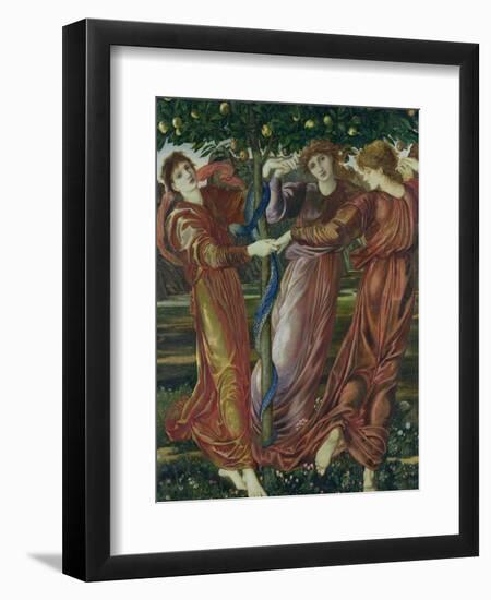 Garden of the Hesperides, 1869-73-Edward Burne-Jones-Framed Giclee Print