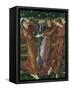 Garden of the Hesperides, 1869-73-Edward Burne-Jones-Framed Stretched Canvas