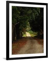 Garden of the Sleeping Giant, Nadi, Viti Levu-Walter Bibikow-Framed Photographic Print