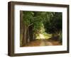 Garden of the Sleeping Giant, Nadi, Viti Levu-Walter Bibikow-Framed Photographic Print