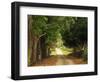 Garden of the Sleeping Giant, Nadi, Viti Levu-Walter Bibikow-Framed Photographic Print