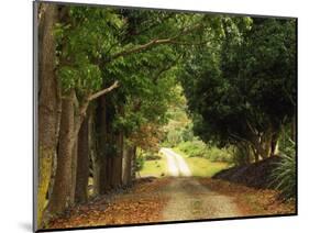 Garden of the Sleeping Giant, Nadi, Viti Levu-Walter Bibikow-Mounted Photographic Print