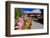 Garden of the Summer Residence of the 14th Dalai Lama, Norbulingka, Lhasa, Tibet, China-null-Framed Art Print