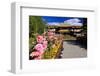 Garden of the Summer Residence of the 14th Dalai Lama, Norbulingka, Lhasa, Tibet, China-null-Framed Art Print