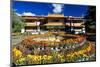 Garden of the Summer Residence of the 14th Dalai Lama, Norbulingka, Lhasa, Tibet, China-null-Mounted Art Print