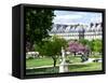 Garden of the Tuileries, the Louvre, Paris, France-Philippe Hugonnard-Framed Stretched Canvas