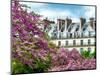 Garden of the Tuileries, the Louvre, Paris, France-Philippe Hugonnard-Mounted Photographic Print