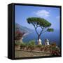 Garden of Villa Rufolo, Ravello, Amalfi Coast, UNESCO World Heritage Site, Campania, Italy, Europe-Roy Rainford-Framed Stretched Canvas