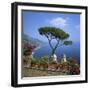 Garden of Villa Rufolo, Ravello, Amalfi Coast, UNESCO World Heritage Site, Campania, Italy, Europe-Roy Rainford-Framed Photographic Print