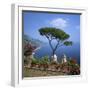 Garden of Villa Rufolo, Ravello, Amalfi Coast, UNESCO World Heritage Site, Campania, Italy, Europe-Roy Rainford-Framed Photographic Print