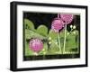 Garden of Whimsical Flowers II-Maureen Lisa Costello-Framed Giclee Print