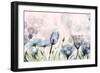 Garden Of Wonders 1-Albert Koetsier-Framed Art Print