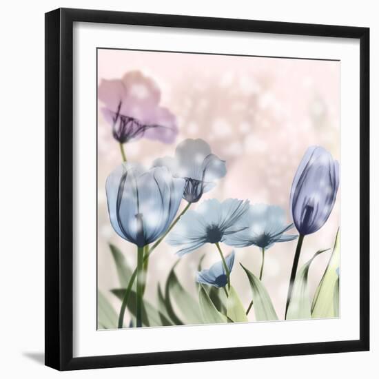 Garden Of Wonders 2-Albert Koetsier-Framed Photographic Print