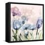 Garden Of Wonders 2-Albert Koetsier-Framed Stretched Canvas