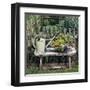 Garden of Yesteryear-Janne Peters-Framed Art Print