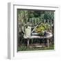 Garden of Yesteryear-Janne Peters-Framed Art Print