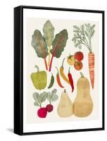 Garden Offering II-Victoria Barnes-Framed Stretched Canvas