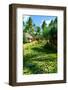 Garden on Bora Bora-Daniel Garcia Toro-Framed Photographic Print