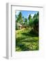 Garden on Bora Bora-Daniel Garcia Toro-Framed Photographic Print