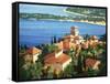 Garden on the Cote d'Azur-Max Hayslette-Framed Stretched Canvas