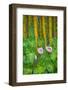Garden on the Island of Maui with Pink Anthurium, Yellow Bamboo, and Philodendron Plants-Terry Eggers-Framed Photographic Print