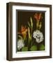 Garden, orange brown Hydrangea-null-Framed Premium Giclee Print
