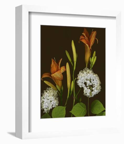 Garden, orange brown Hydrangea-null-Framed Art Print