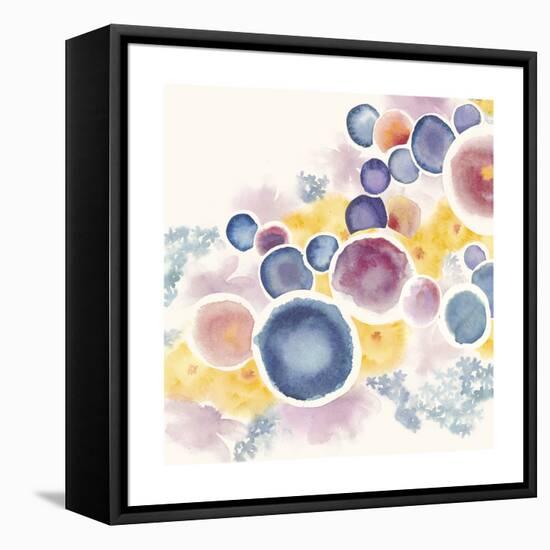 Garden Orb I-Grace Popp-Framed Stretched Canvas